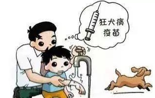 最新狂犬病發(fā)作視頻，理解與應(yīng)對(duì)的挑戰(zhàn)