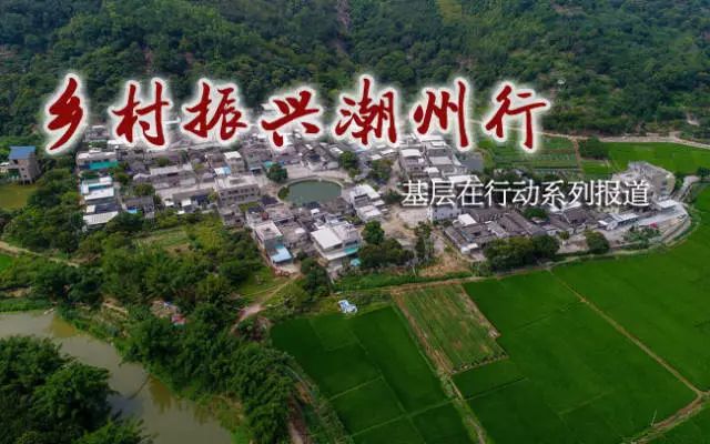 牧馬鎮(zhèn)蓮花村最新規(guī)劃，鄉(xiāng)村振興的藍(lán)圖展望