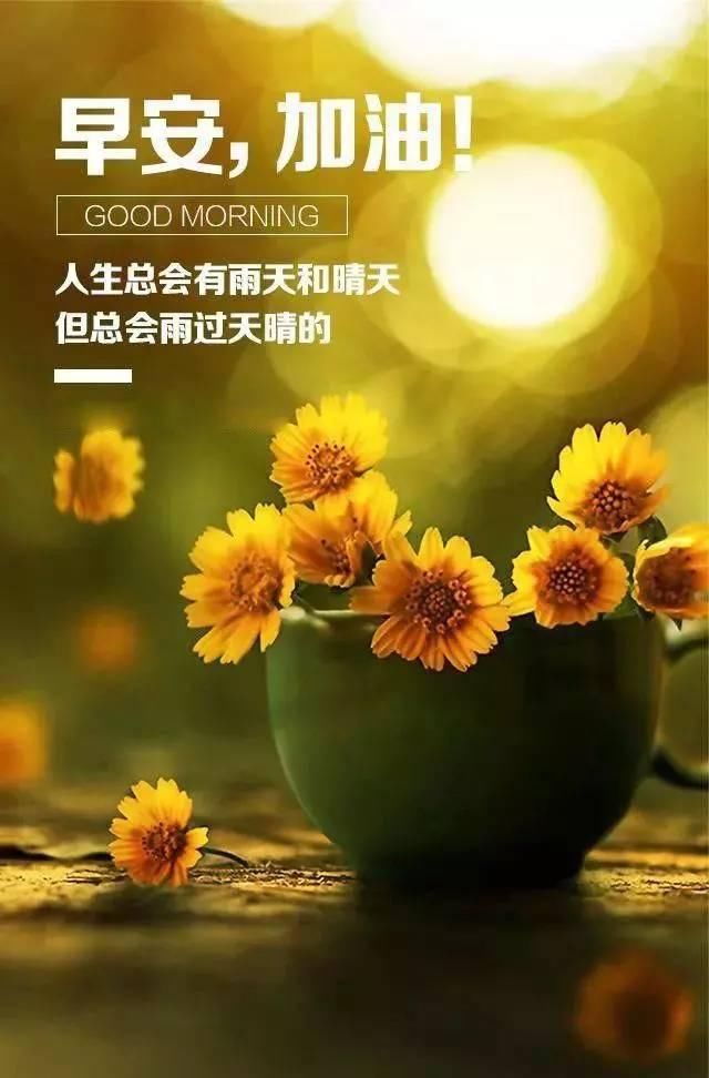 最新早安勵(lì)志語錄帶圖，開啟充滿活力的每一天